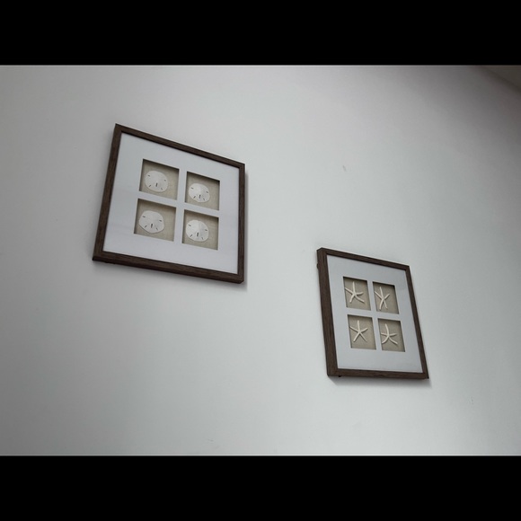 Two glass decor with sandollars and starfish sold in pair or separately - Picture 1 of 1